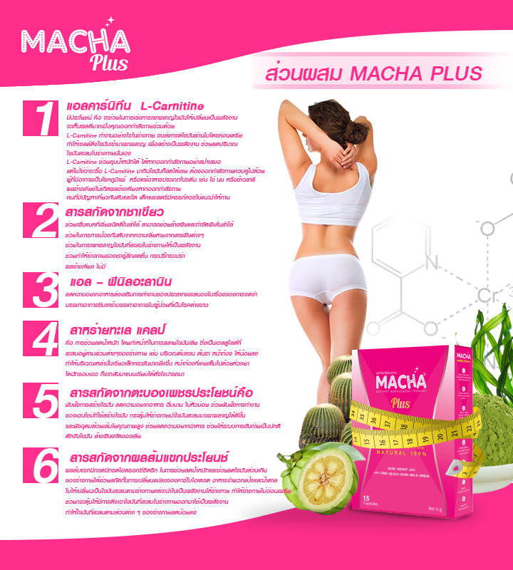 Macha Plus