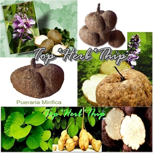 Purchase Pueraria Mirifica