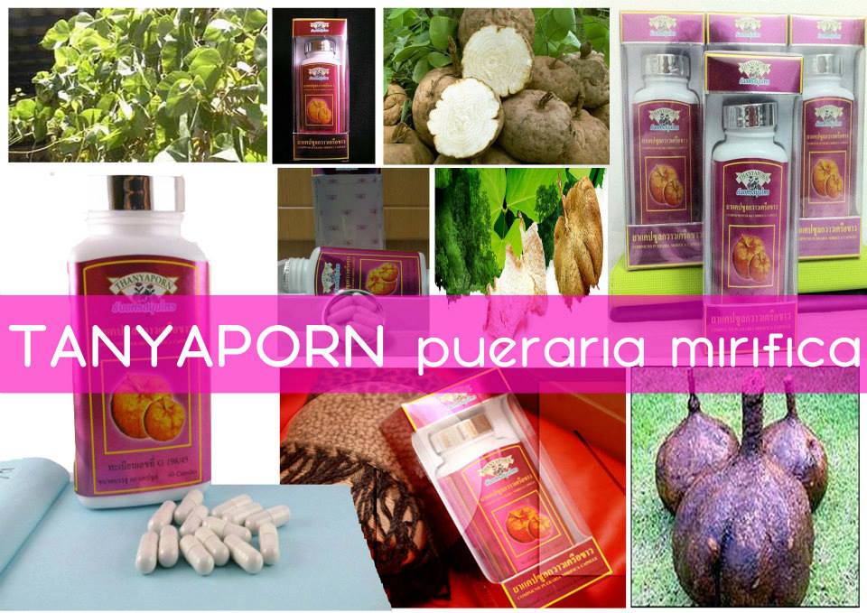 pueraria mirifica breast capsules