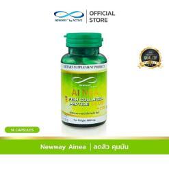 Newway AI NEA