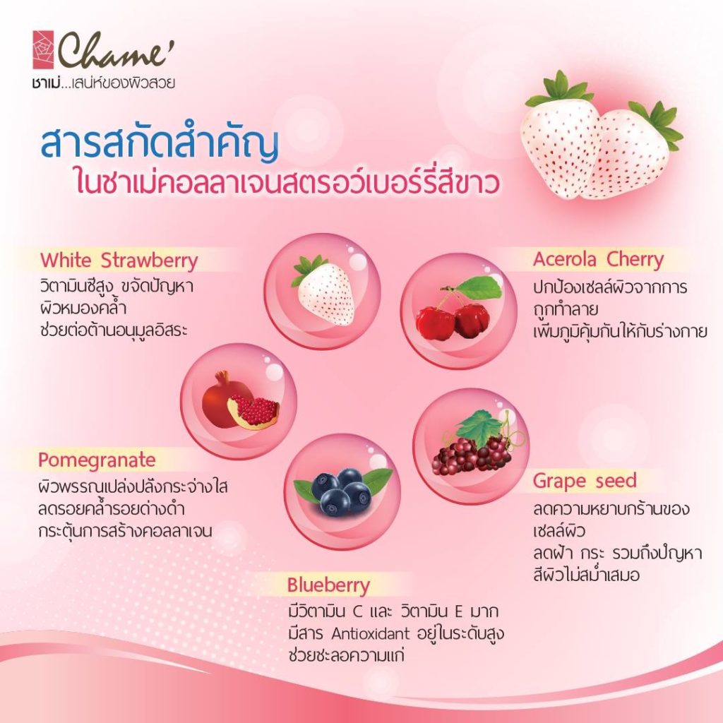 Chame Collagen3