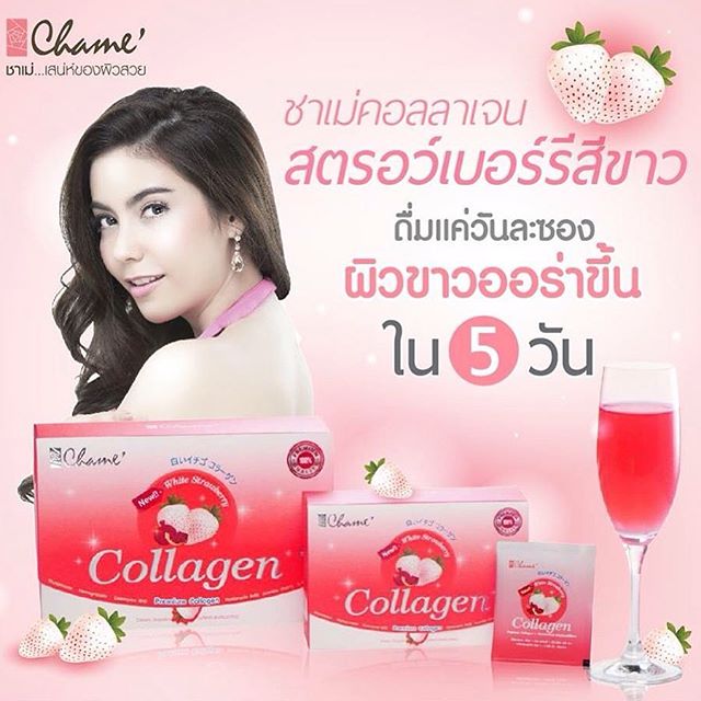 Chame Collagen4