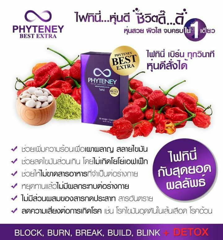 PHYTENEY15