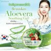 Beauskin Pure Natural 100% Aloe Vera Soothing Gel