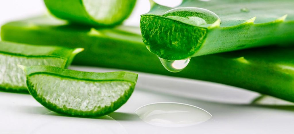 benefits of aloe vera