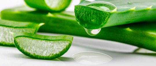 benefits of aloe vera