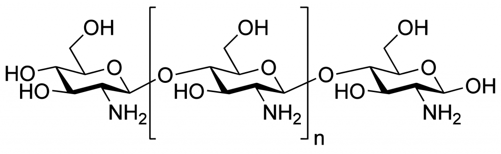 Chitosan for weight loss
