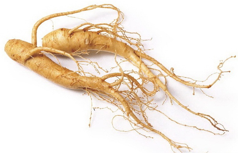 The Benefits of Ginseng