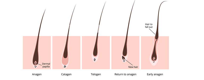 Hair Growth Serum: Benefits and Ways to Use It - Thailand Best Selling Products - Online shopping - Worldwide Shipping Hair Growth Serum: Benefits and Ways to Use It - Thailand Best Selling Products - Online shopping - Worldwide Shipping