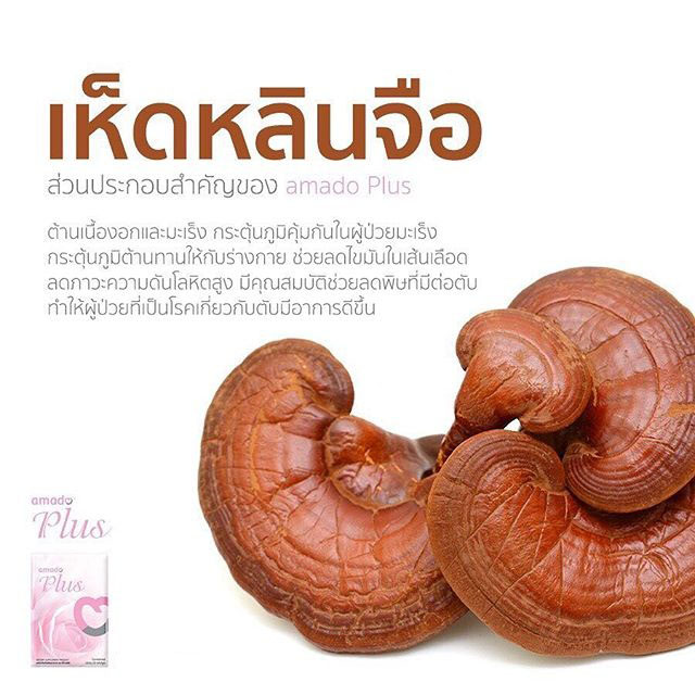 Amado Plus Dietary Supplement Product Thailand Best Selling Products Popular Thai Brands