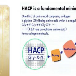 Collagen Tripeptide HACP