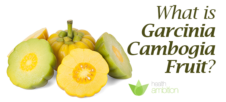 Garcinia cambogia for weight loss