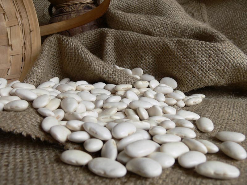 White Kidney Beans Benefits