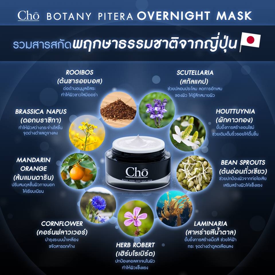 Cho Botany Pitera Overnight Mask