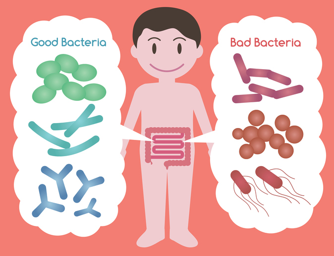 probiotics healthy bacteria