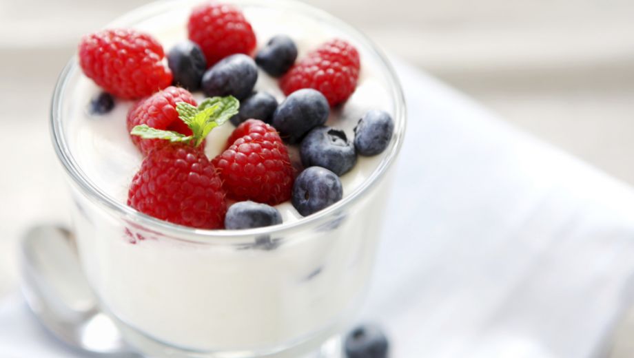 yogurt probiotics