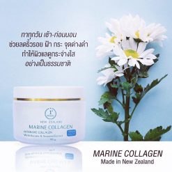 Marine Collagen Cream