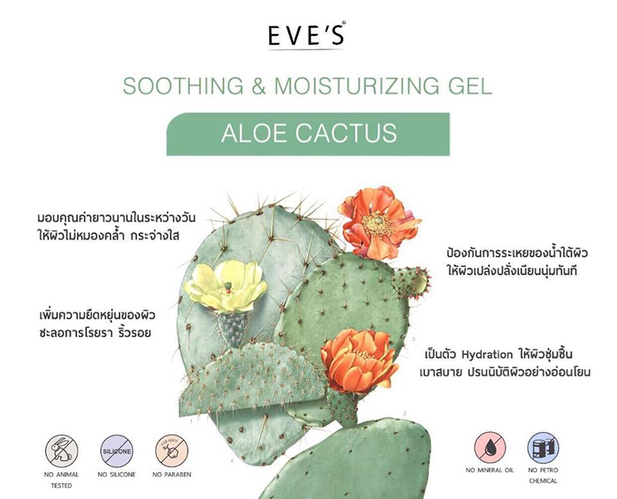 Eve’s Aloe Cactus Gel