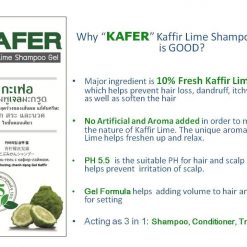 Kaffir Lime Shampoo Gel