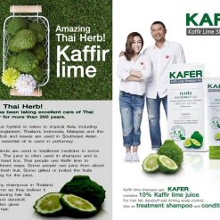 Kaffir Lime Shampoo Gel