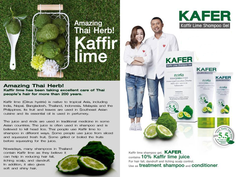 Kaffir Lime Shampoo Gel