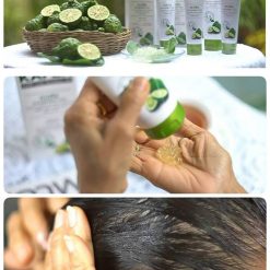 Kaffir Lime Shampoo Gel