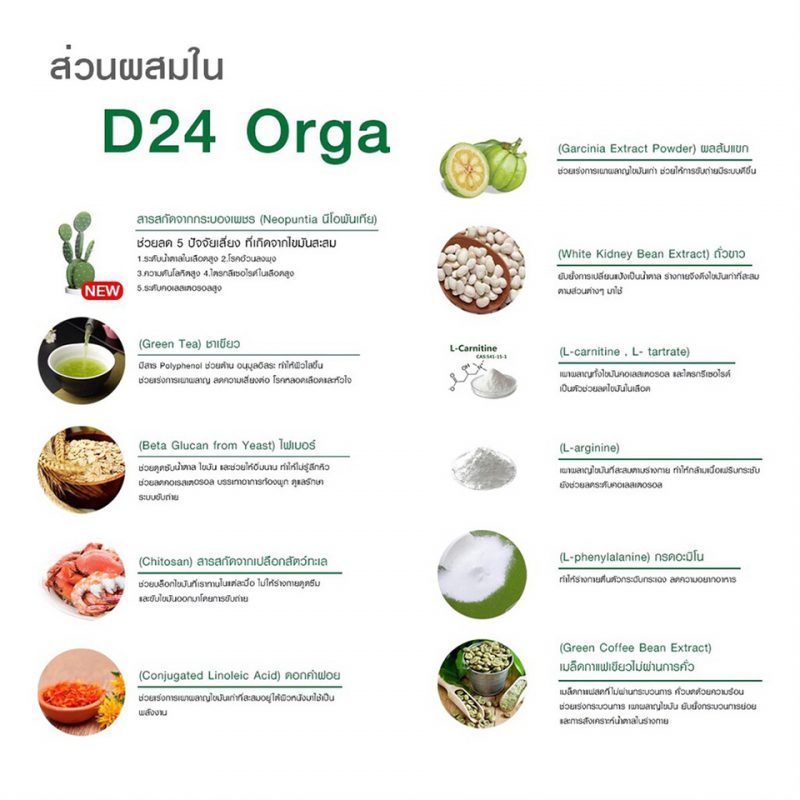 D24 Orga