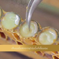 Royal Bee Maxi Royal Jelly