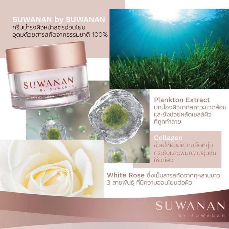 SUWANAN Intensive Facial Cream