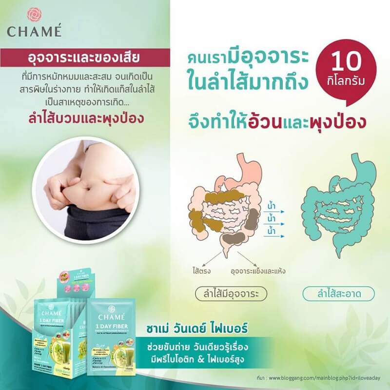 CHAME’ 1 Day Fiber