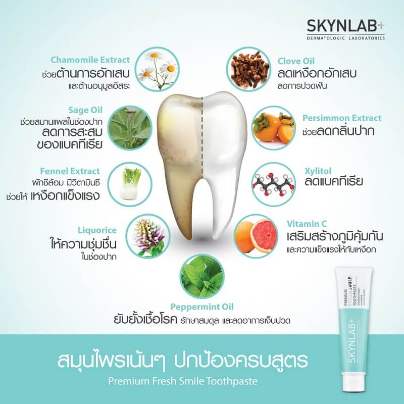 Skynlab Premium Fresh Smile Toothpaste