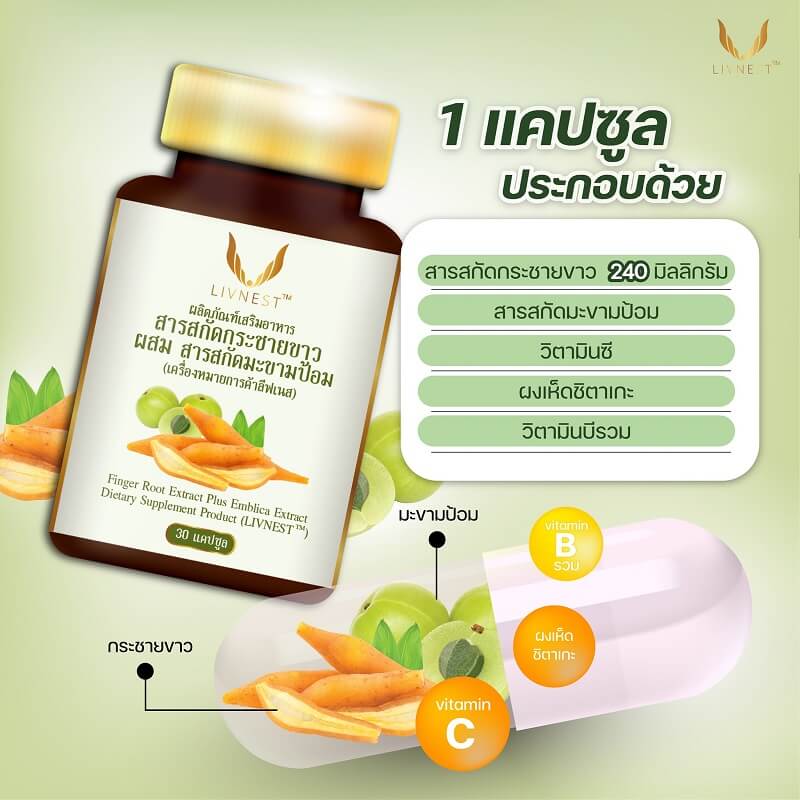 Livnest Finger Root Extract Plus Emblica Extract