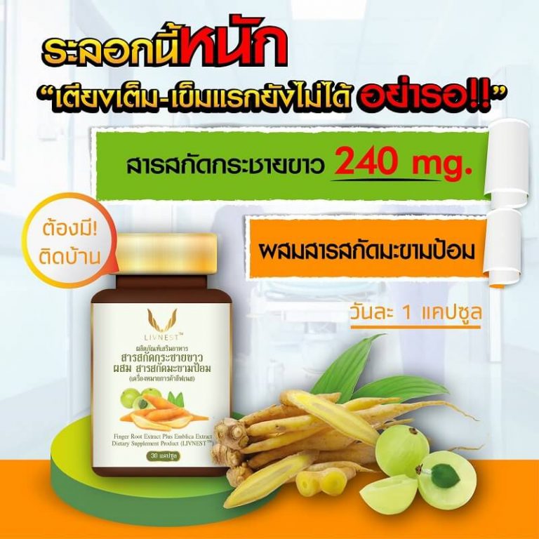 Livnest Finger Root Extract Plus Emblica Extract - Thailand Best ...