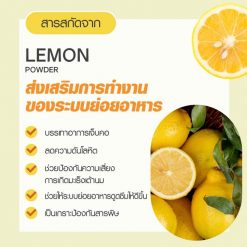 Jejuvita XS Tox Fiber Powder