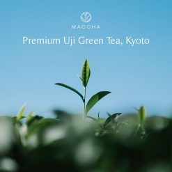 MACCHA Glow Rebalancing Essential Water