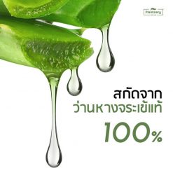 Plantnery Aloe Vera Soothing Gel