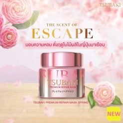 Tsubaki Premium Repair Mask Spring