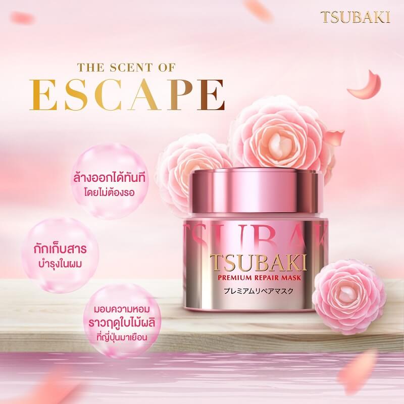 Tsubaki Premium Repair Mask Spring 