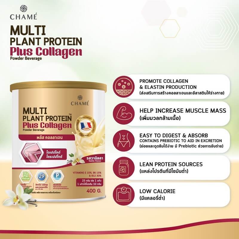 Chame Multi Plant Protein Plus Collagen