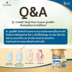 Chame Multi Plant Protein