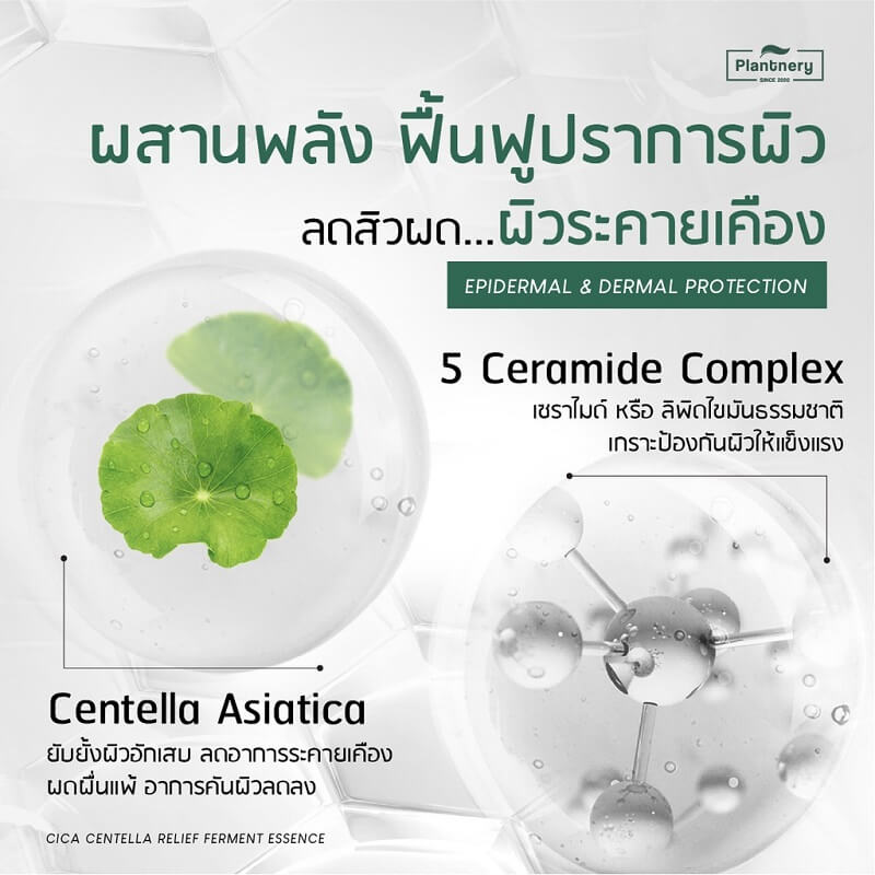 Plantnery Cica Centella Ceramide Relief Treatment Essence