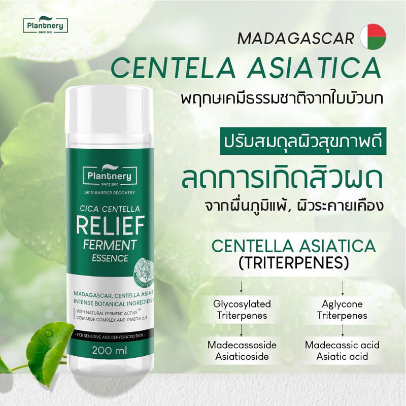 Plantnery Cica Centella Ceramide Relief Treatment Essence