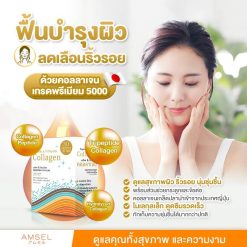 Amsel Peptide & Tripeptide Collagen
