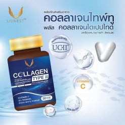 Livnest Collagen Type II