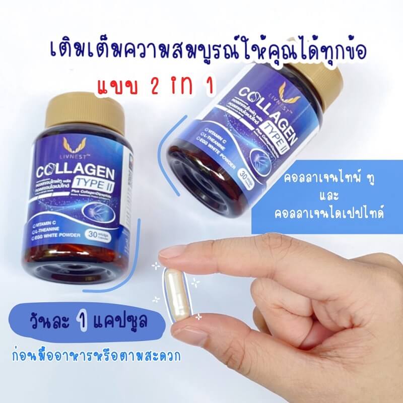 Livnest Collagen Type II