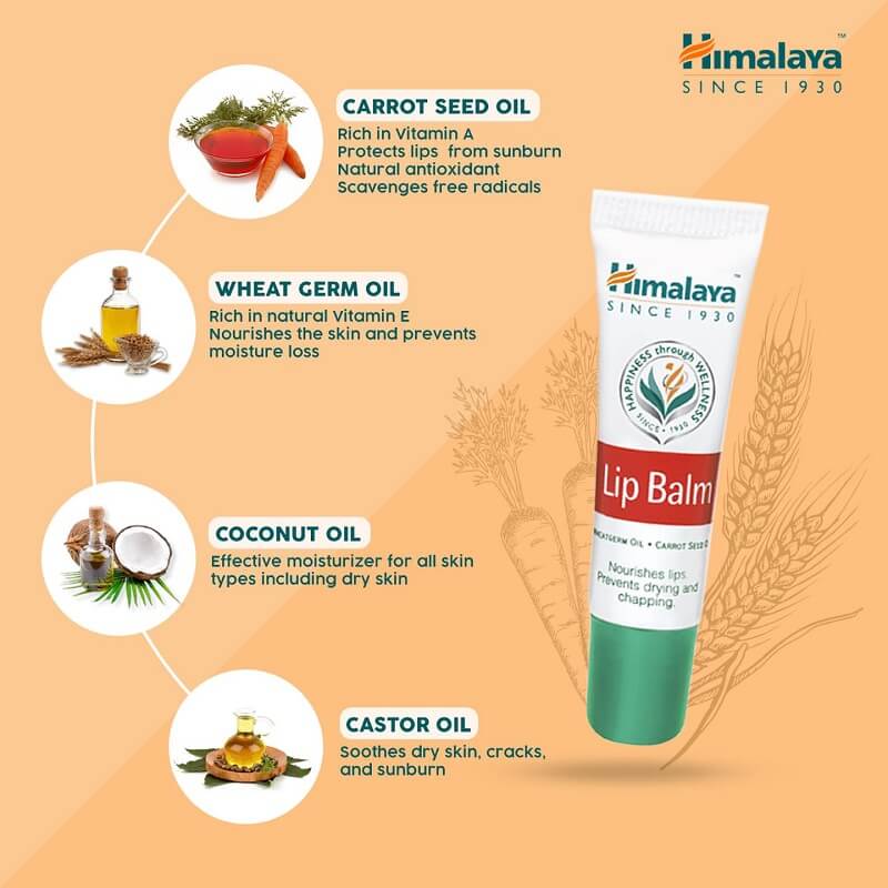 Himalaya Lip Balm 10g×50本 Himalaya Lip Balm 10g | OLIVE YOUNG Global