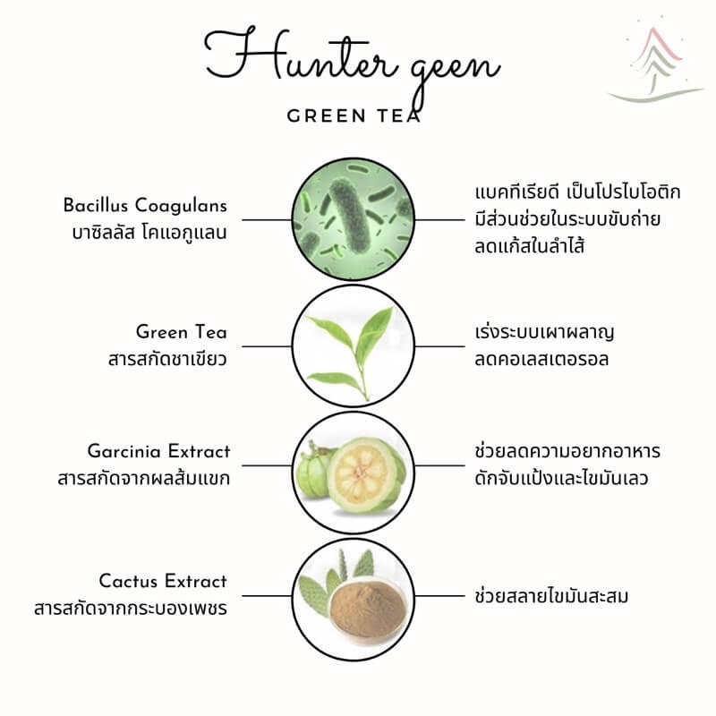 Hunter Geen Green Tea