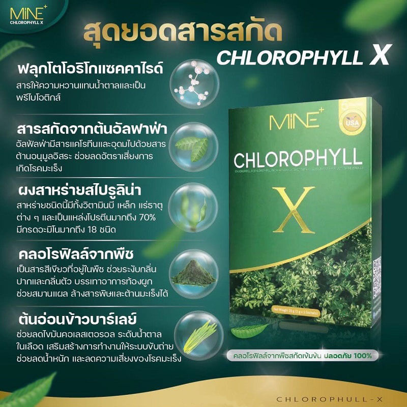 Mine Chlorophyll X