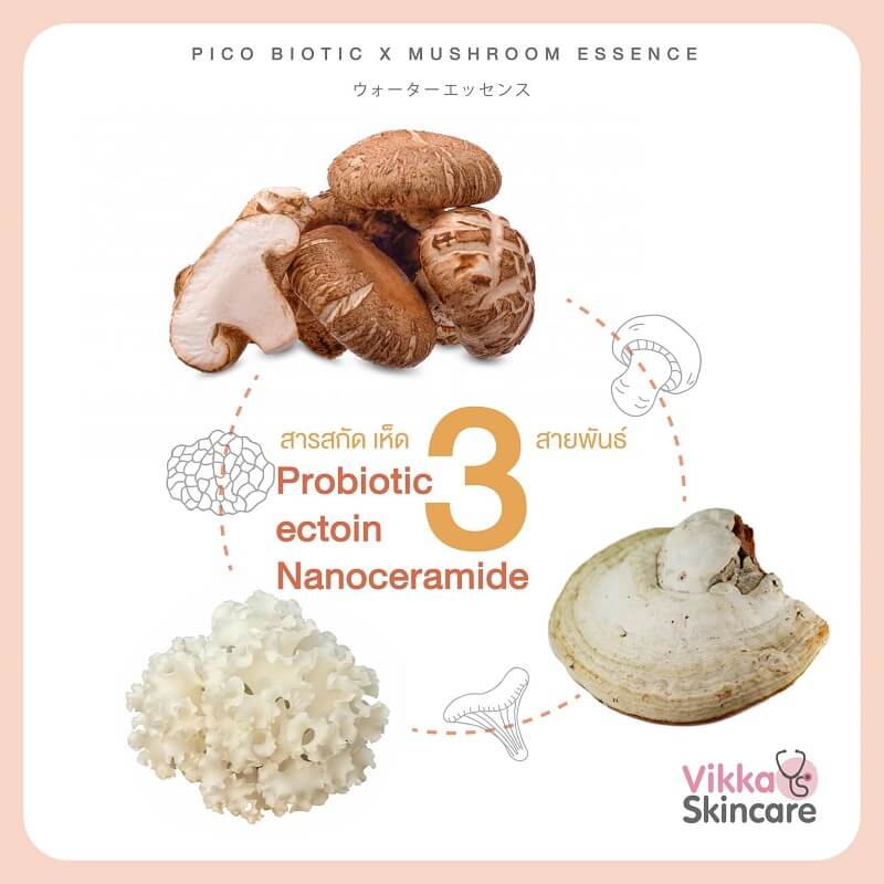 Vikka Skincare Pico Biotic x Mushroom Essence