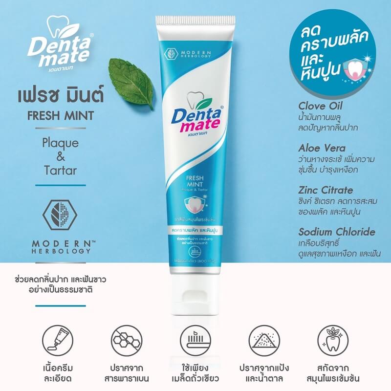 Dentamate Herbal Extract Toothpaste